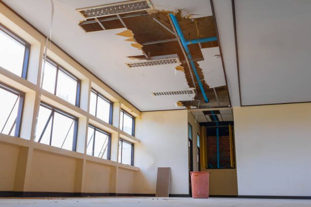 Best Ceiling water damage repair  in Pasadena, MD