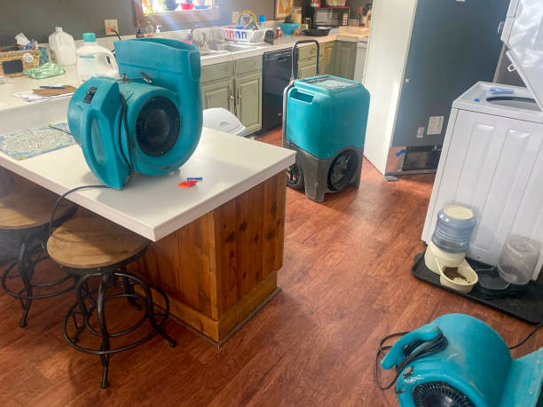 Best Residential water damage restoration  in Pasadena, MD