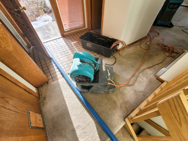 Best Sewage cleanup and water damage restoration  in Pasadena, MD