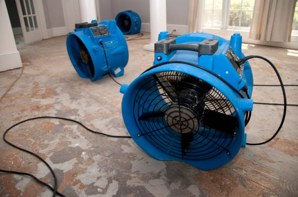 Best Carpet water damage restoration  in Pasadena, MD