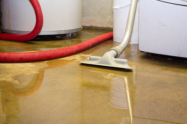 Best Water damage restoration specialists  in Pasadena, MD