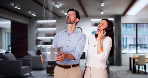 Best Water damage restoration near me  in Pasadena, MD