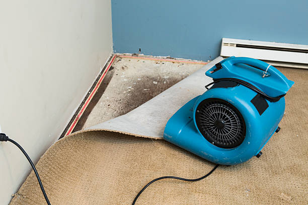 Best Water damage restoration insurance claims  in Pasadena, MD